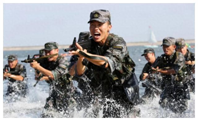 重队军体视战条义的深度解读与发展前景,军体视战条义的深度解读与未来前景展望