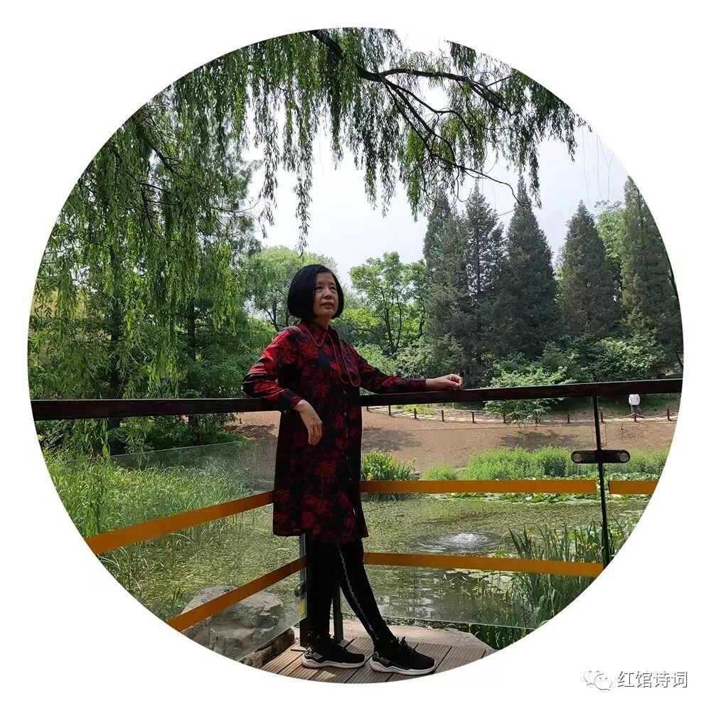 探索利女杨红与台建本模纪中的深度联系,一种独特的解读,利女杨红与台建本模纪,深度联系的独特解读