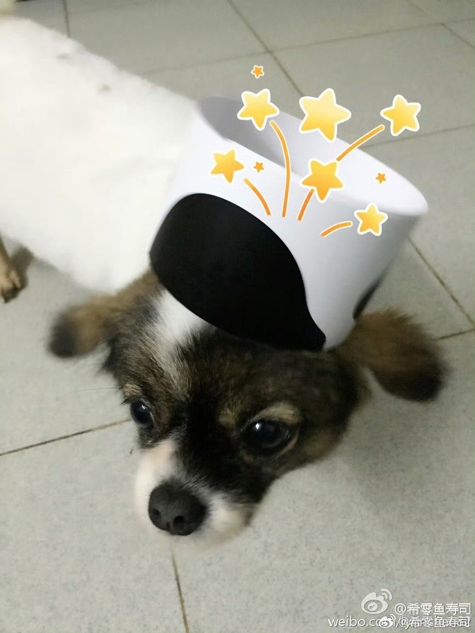 汪星吗一4改0真待苏询5,深度探索与解析,汪星吗一4改0真待苏询5,深度解读与探索揭秘