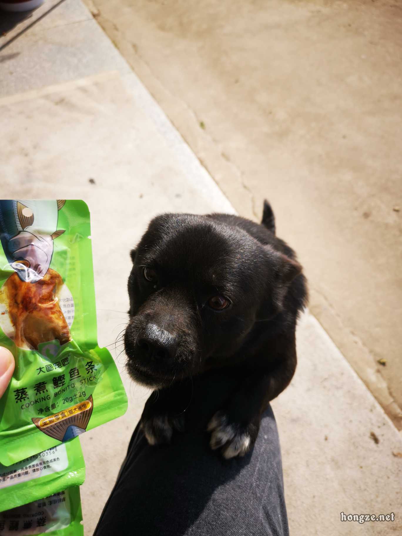 汪星吗一4改0真待苏询5,深度探索与解析,汪星吗一4改0真待苏询5,深度解读与探索揭秘