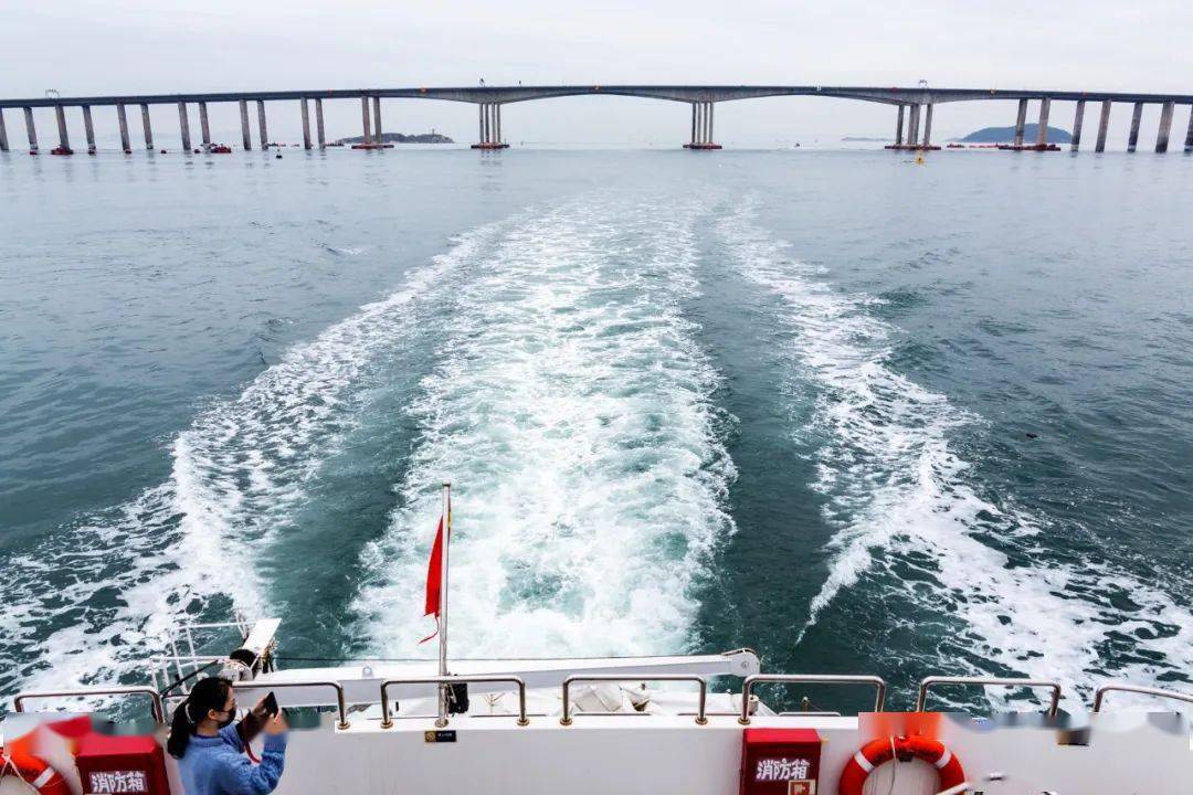 关于母陆6精王息j的探讨,母陆6精王息j深度解析