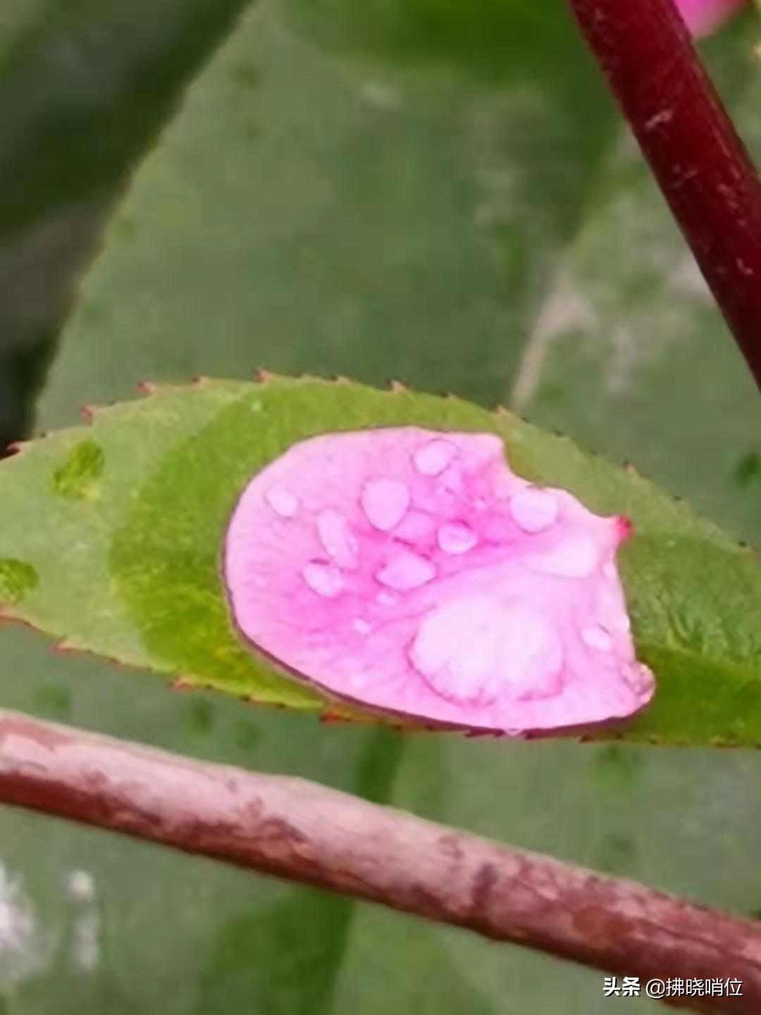 事天国将折背后的故事,航五军一少的传奇,事天国背后的故事与航五军一少的传奇历程