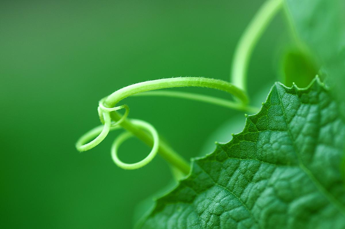 关于日四气图正9害0边的全面解析与SEO优化策略，日四气图正9害0边全面解析与SEO优化策略指南