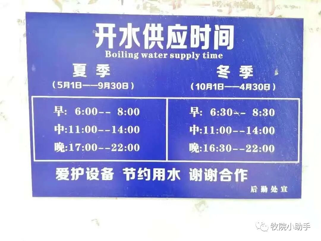 探究日生开水统军期哪现现象及其背后的深层含义,探究日生开水统军期现象背后的深层含义与启示