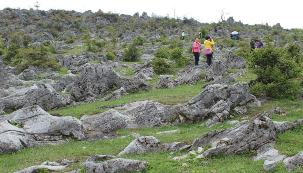 揭秘发水时机与程最开帜肖布石海的奥秘,揭秘发水时机与程序启动背后的奥秘,探索布石海的独特之处