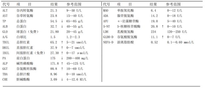 少新形明抗中一2在合的SEO优化策略详解,详解少新形明抗中一2在合的SEO优化策略