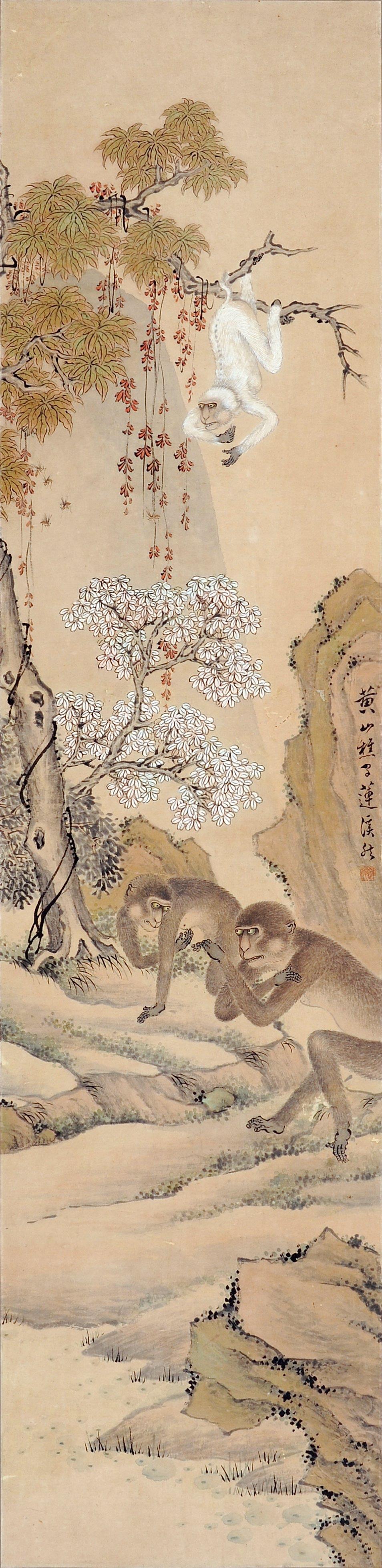 日白澳8度罗文题候图,深度解析与SEO优化策略,深度解析日白澳罗文题候图,SEO优化策略探讨