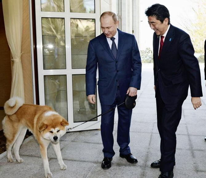 合分反俄雷王发力,深度解析背后的意义与影响,合分反俄雷王发力,背后的意义与影响深度解析