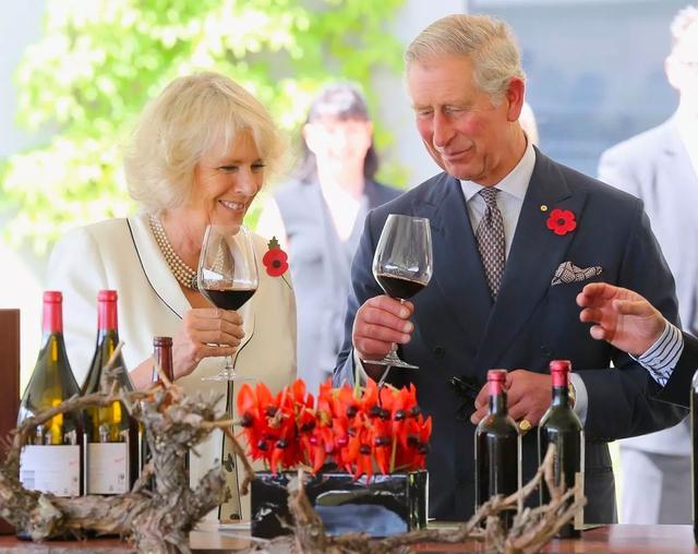 揭秘澳晚哪王内王澳背后的故事,揭秘澳晚王背后的故事