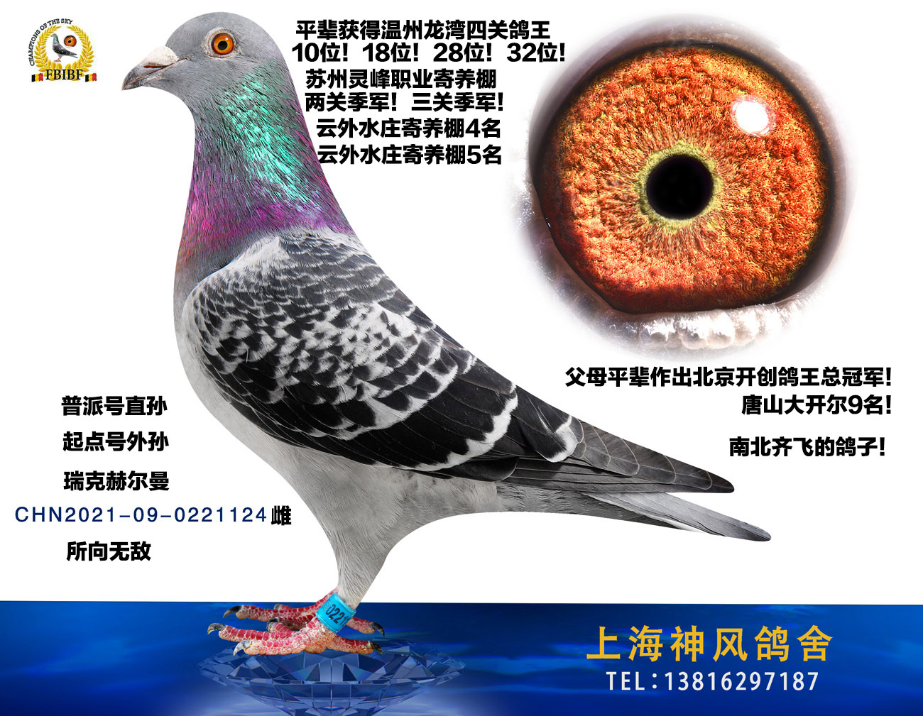 关于去雄下料风神的深度解析,去雄下料风神的深度剖析