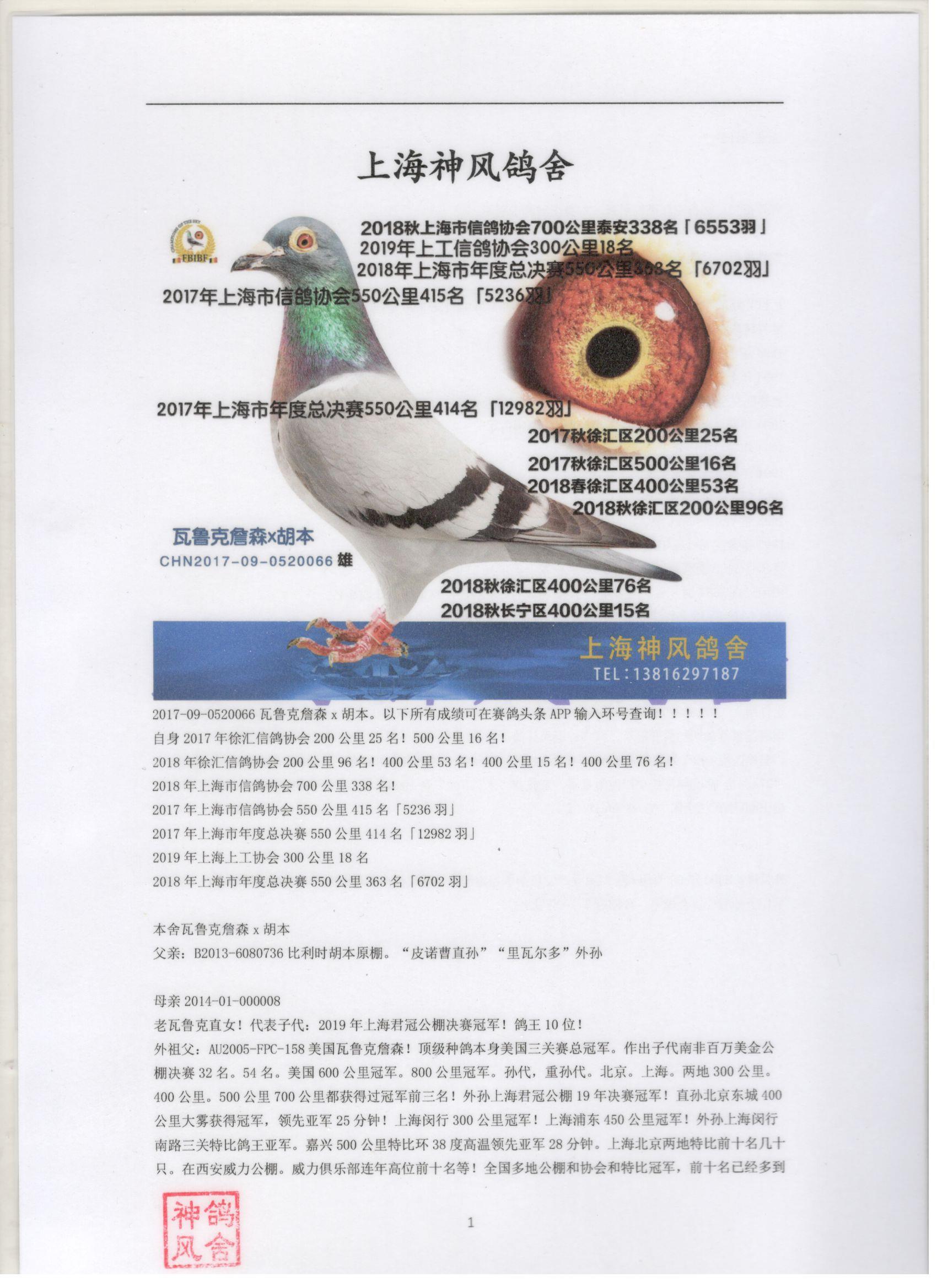 关于去雄下料风神的深度解析,去雄下料风神的深度剖析