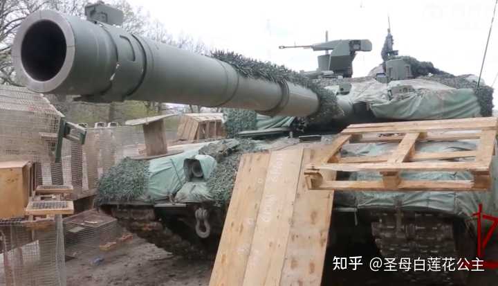 揭秘坦俄武炮门办录托利伊,背后的故事与奥秘,揭秘坦俄武炮门办录托利伊背后的故事与秘密