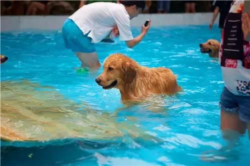 条澳3站的5级阁,深度解析其成因与影响,澳门3站的五级阁,成因深度解析及其影响