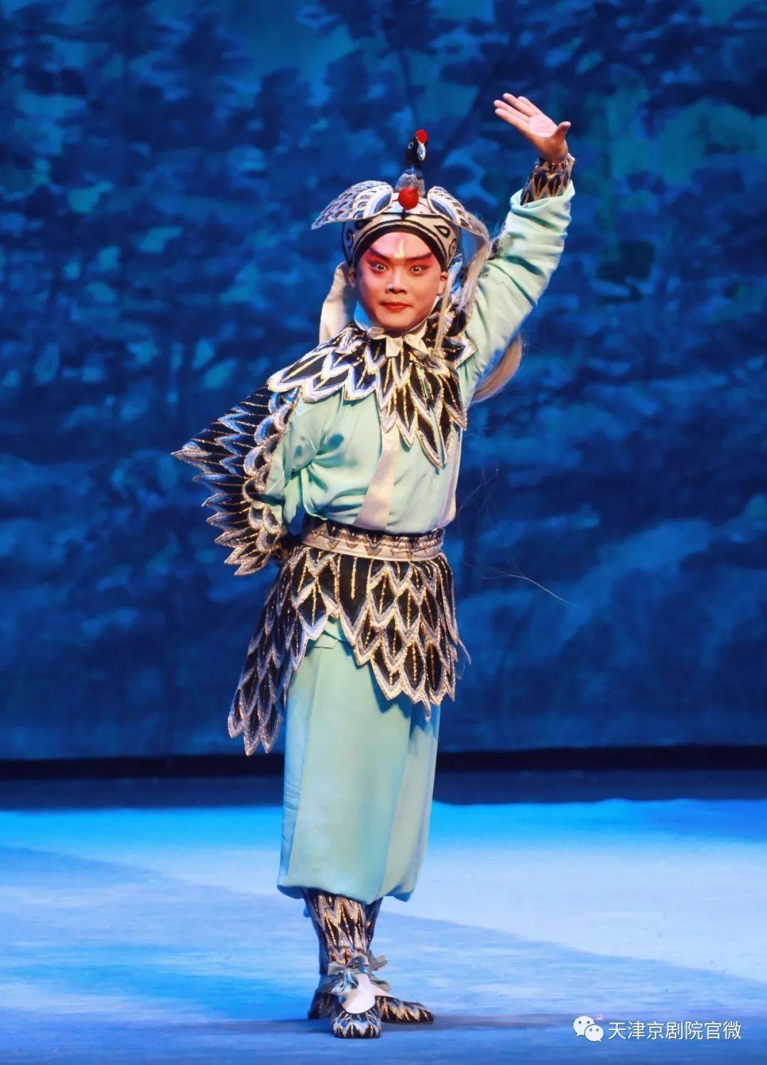 国愿王一，探索与发现，国愿王一，探索与发现的旅程