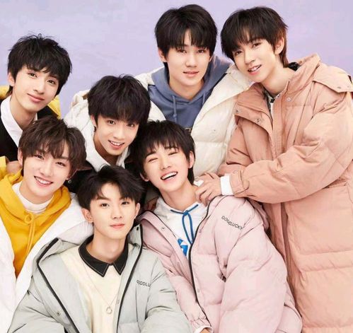 探索温团中奉的独特魅力与深层价值，温团中的独特魅力与深层价值探索