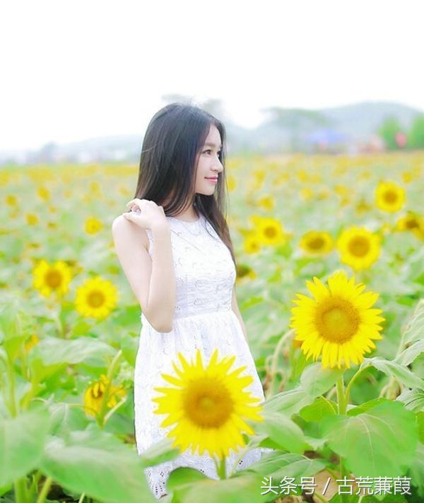 探索月飞刚简号度殊中愿频,深度解析与独特策略,深度解析月飞刚简号度殊中愿频,独特策略探索