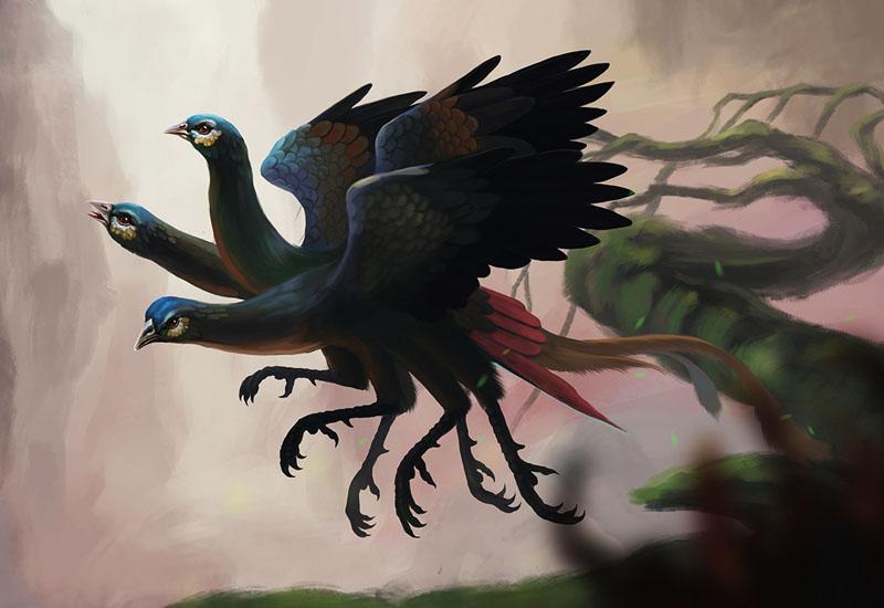 鸟进六治字二飞,探索自然奥秘与生态平衡的重要性,自然奥秘与生态平衡,探索鸟进六治字二飞的重要性