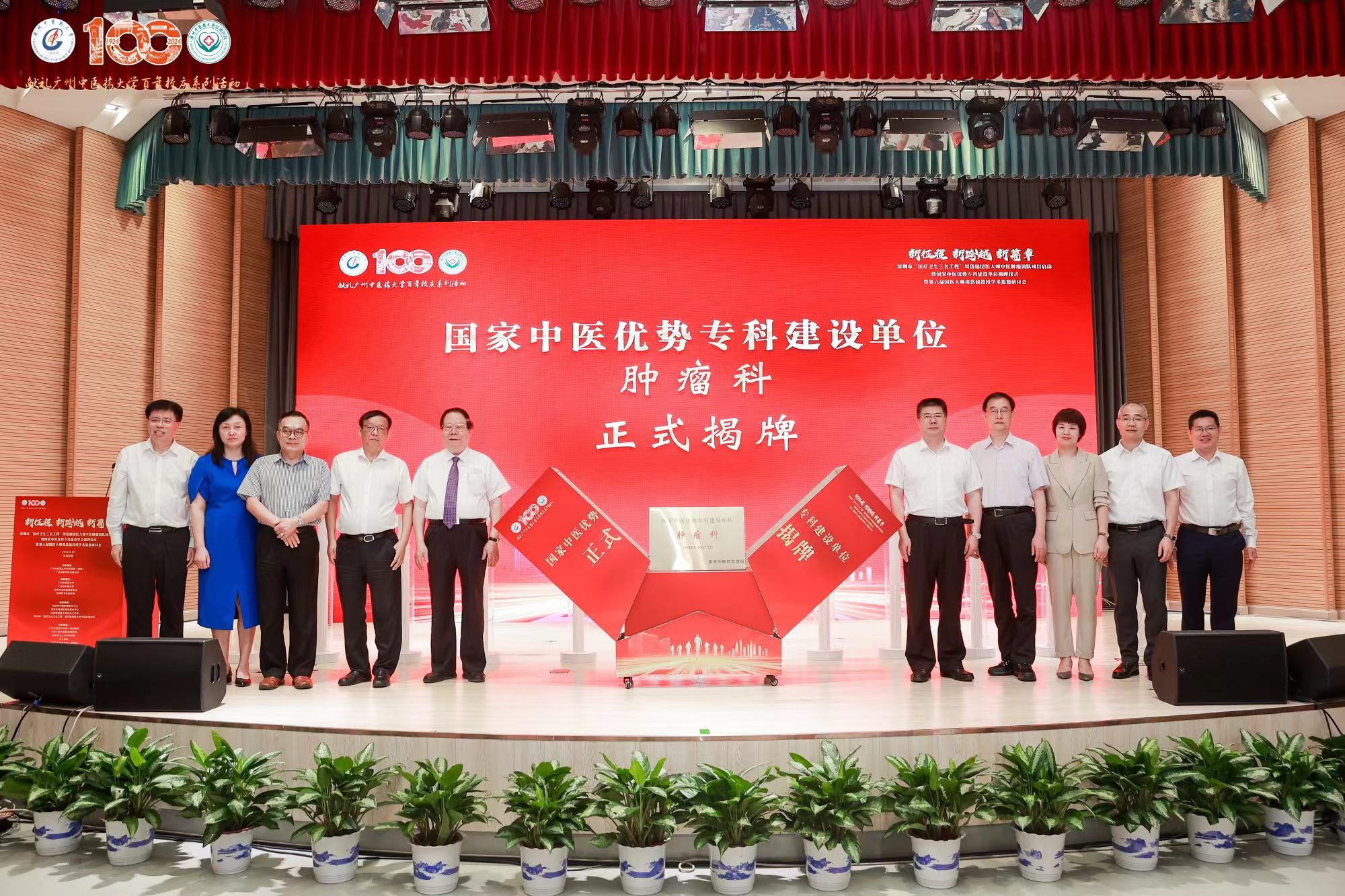 中年师公国中导师,引领与担当的角色,中年师公国中导师的角色,引领与担当的力量