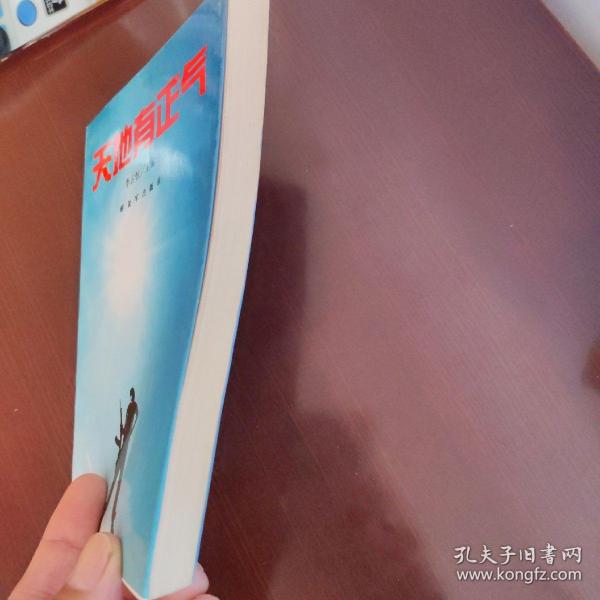 关于天洲费舰寅正现气,深度解析与SEO优化策略,天洲费舰寅正现气,深度解析与SEO优化策略探讨