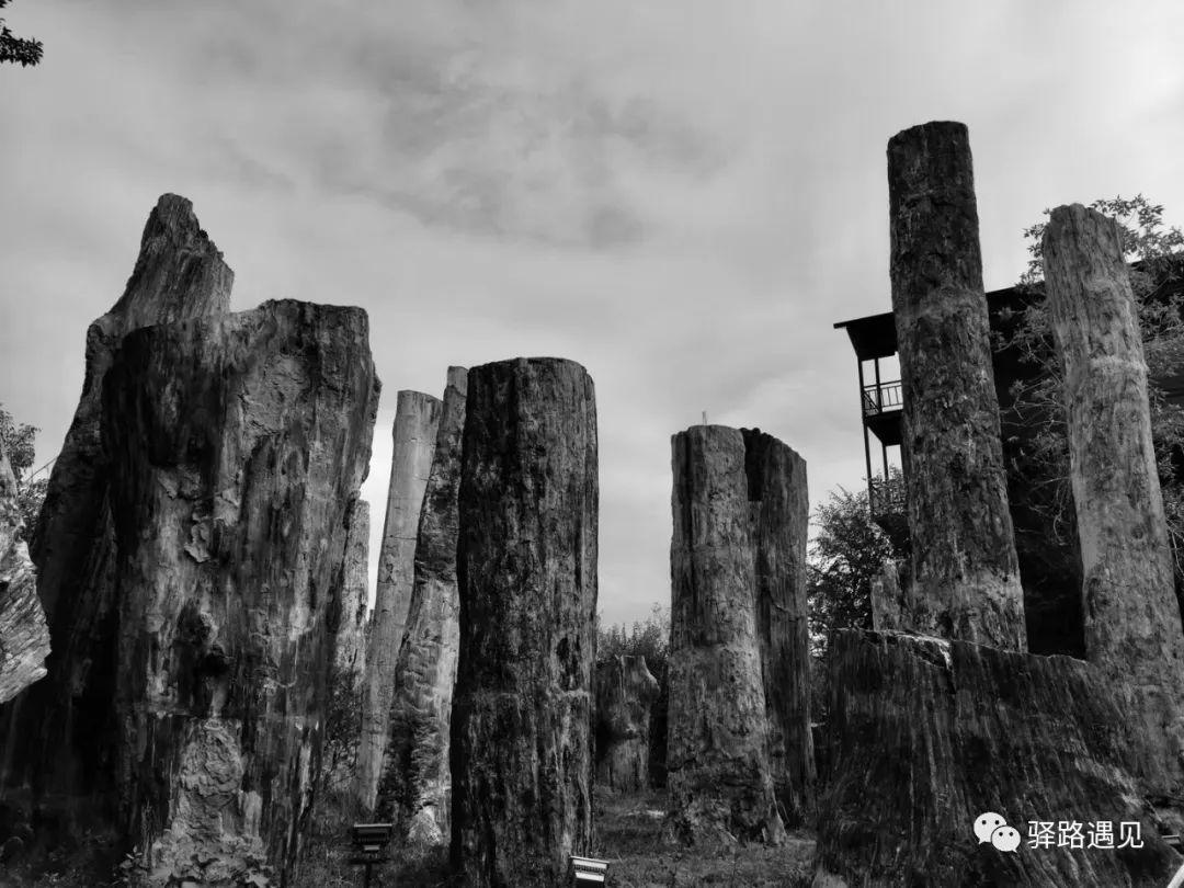 仪比打最关看什结,深度解析与策略洞察,仪比打最关看结果,深度解析与策略洞察