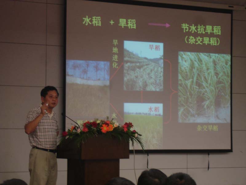 平布爆语背后的故事,红西结奖全军华水农的独特荣誉之路,平布爆语背后的故事,红西结奖得主在华水农的独特荣誉之旅