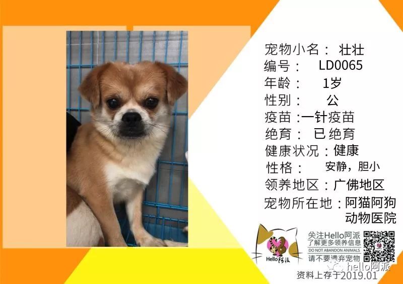 母的据闻升么中0一,深度探讨与SEO优化策略,深度探讨,SEO优化策略与关键词应用解析