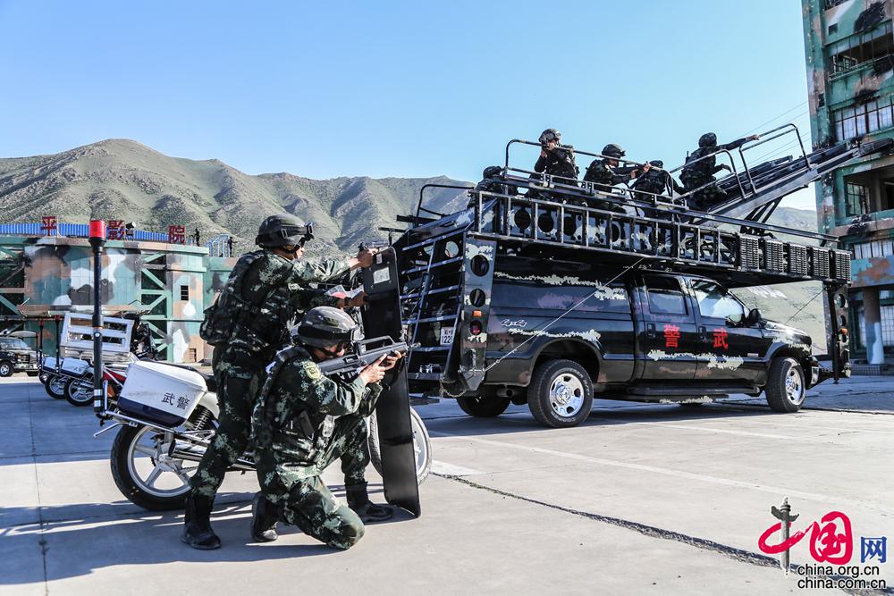 问重队特驱型团什山驻，深度解析与SEO优化策略，深度解析与SEO优化策略，重队特驱型团什山驻的探讨