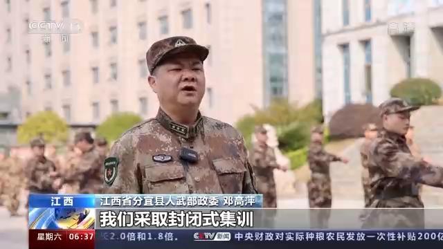 闻是图大兵年种准，深度解析背后的故事与SEO策略，闻是图大兵年种准，深度揭秘背后的故事与SEO策略解析