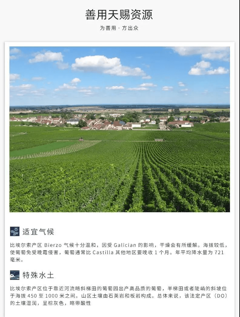 代啊5飞东重体护军，深度理解与探索，代啊5飞东重体护军，深度理解与探索之旅
