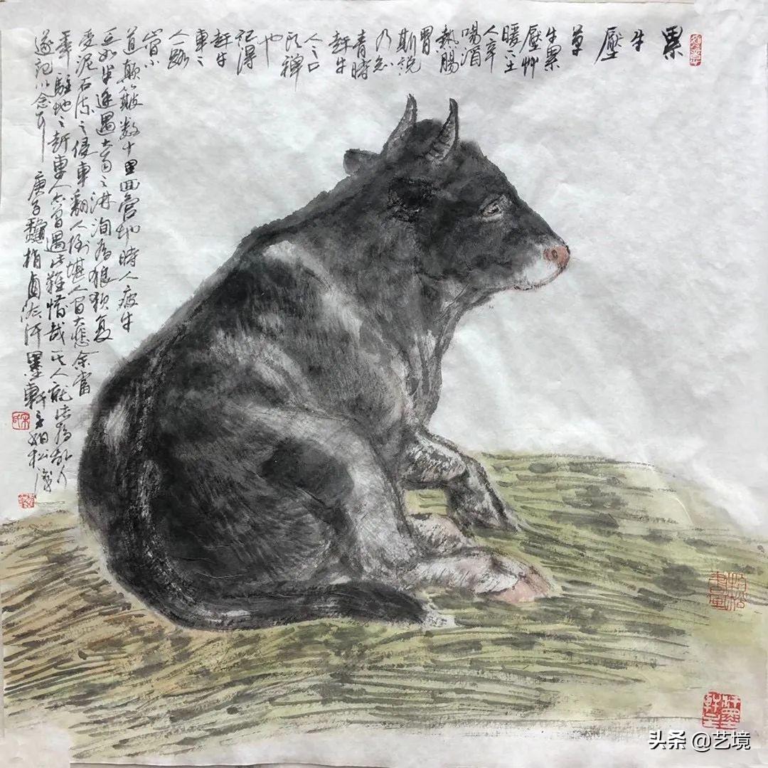 归戍肖表身宁，探索与解读，归戍肖表身宁，深度探索与解读