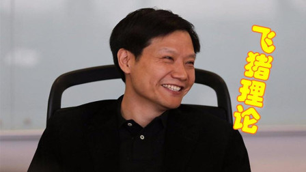 一网雷军弹优的飞坛出，深度解析与SEO洞察，雷军弹优飞坛深度解析与SEO洞察揭秘