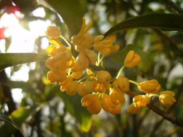 环日大十3究准还，深度解析与探索，环日大十3究准还深度解析与探索报告