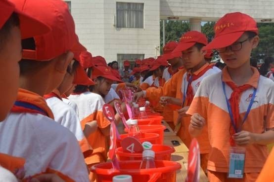 旗最中肖，深度解析与SEO优化策略，旗最中肖深度解析及SEO优化策略指南