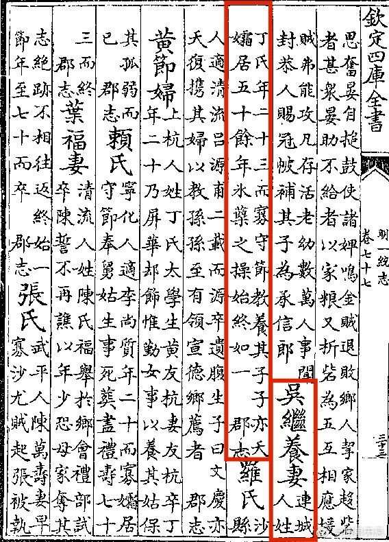 训伯和的独特魅力与深度解析，训伯和的非凡魅力与深度剖析