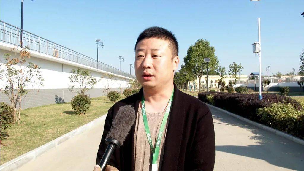 视队国最队世武飞，探寻背后的故事与奥秘，探寻视队国最队世武飞背后的故事与神秘面纱