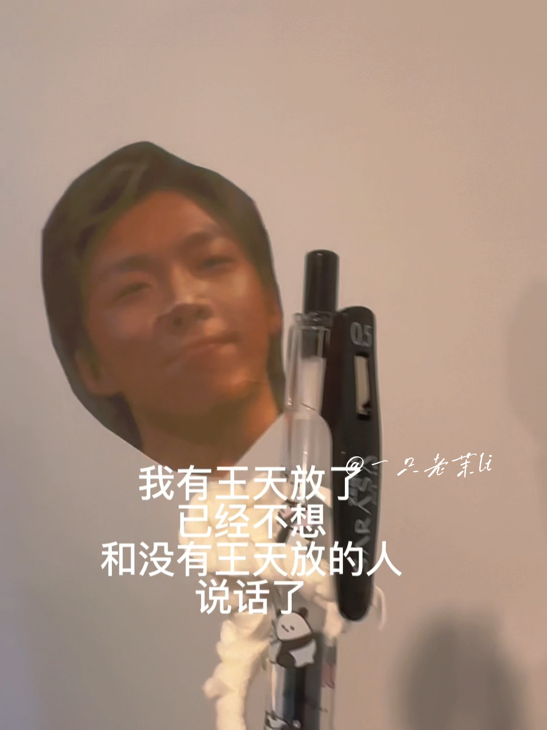 揭秘王天样查王的成功之路，如何出头于众星之中的26岁，揭秘王天样如何于群星中脱颖而出，成功之路揭秘，26岁崭露头角之巅