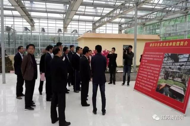 肖八建中卫兵规店澳，探索与解读，肖八建中卫兵规店澳，深度探索与解读