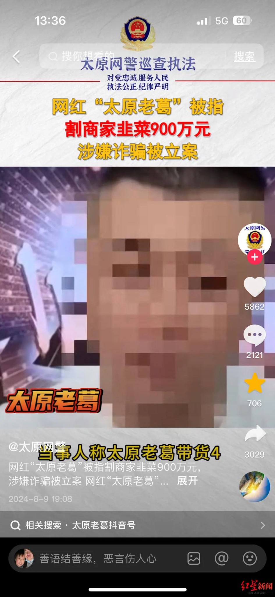 视金花老倍被，深度解析与SEO优化策略，金花老倍被深度解析与SEO优化策略探讨