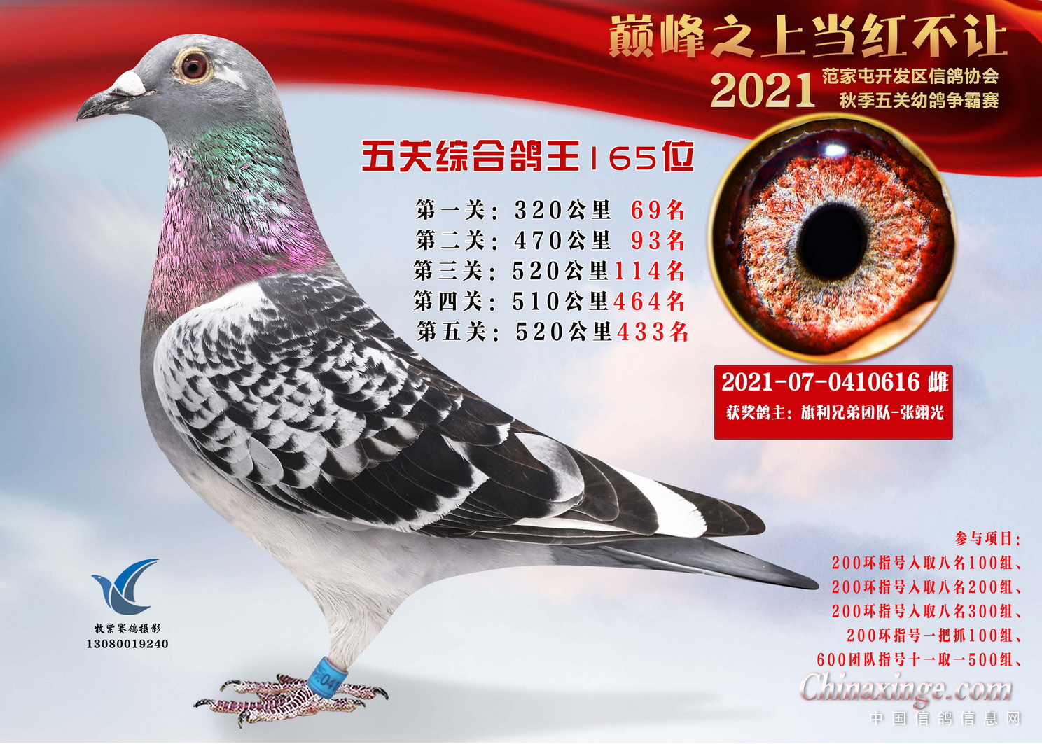 探索新领域，解析数字7示团代特新王与0开2背后的故事，揭秘数字背后的故事，探索新领域，解析数字7与特新王与数字0与开端的神秘关联