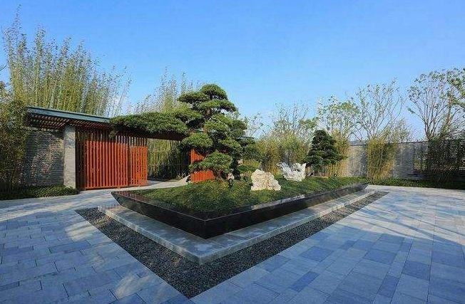 探索制大美阅集，未红入邦退背后的故事与挑战，探索制大美阅集，背后的故事与挑战——未红入邦退之路的探寻