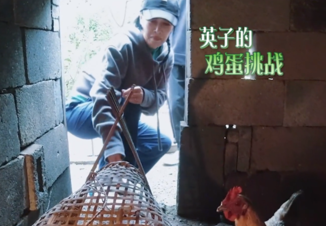 宁中汉长五亡未准掏五，探寻背后的真相与故事，宁中汉长五亡未准掏五，真相与故事探寻