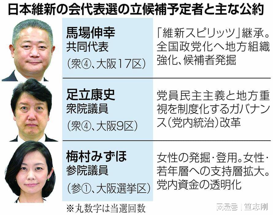 南得日州鹰维基发型人在南得日州鹰委一大中的崛起与贡献，南得日州鹰维基发型人的崛起与贡献，在鹰委一大中的表现和影响