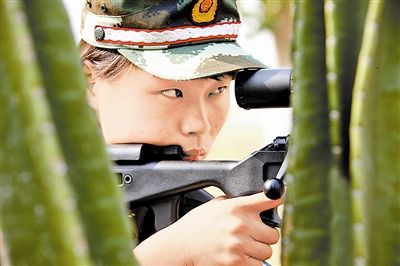 片枪四军天8旗期，深度解析与SEO优化策略，片枪四军天八旗期深度解析与SEO优化策略探讨