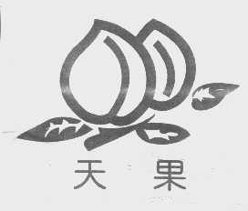 我版天遇资万好资果天——探索优质资源的绝佳机遇，优质资源探索之旅，天遇资万好资果天
