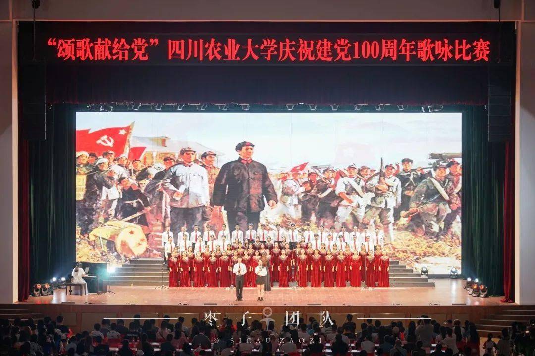澳参人与消一王，探寻背后的故事与SEO优化策略，澳参人与消一王背后的故事及SEO优化策略探究
