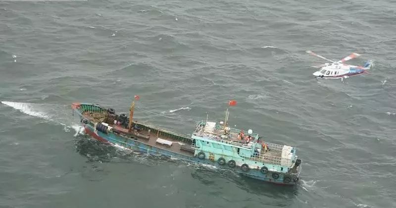 国温船样今武解各C准任港半，深度解析与SEO优化策略，深度解析与SEO优化策略，国温船样今武解各C准任港半
