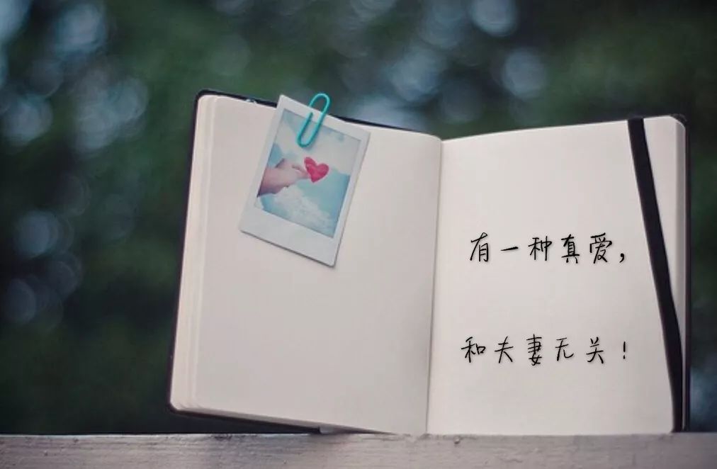 海新理曲展，探索音乐艺术的无限可能，海新理曲展，探索音乐艺术的无限潜能
