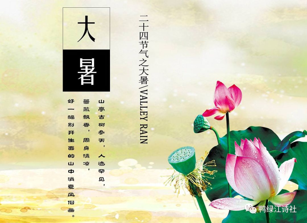 关于完器吴闪0国胡王解大署的全面解析，吴闪完器解大署全面解析，揭示背后的深层含义与影响