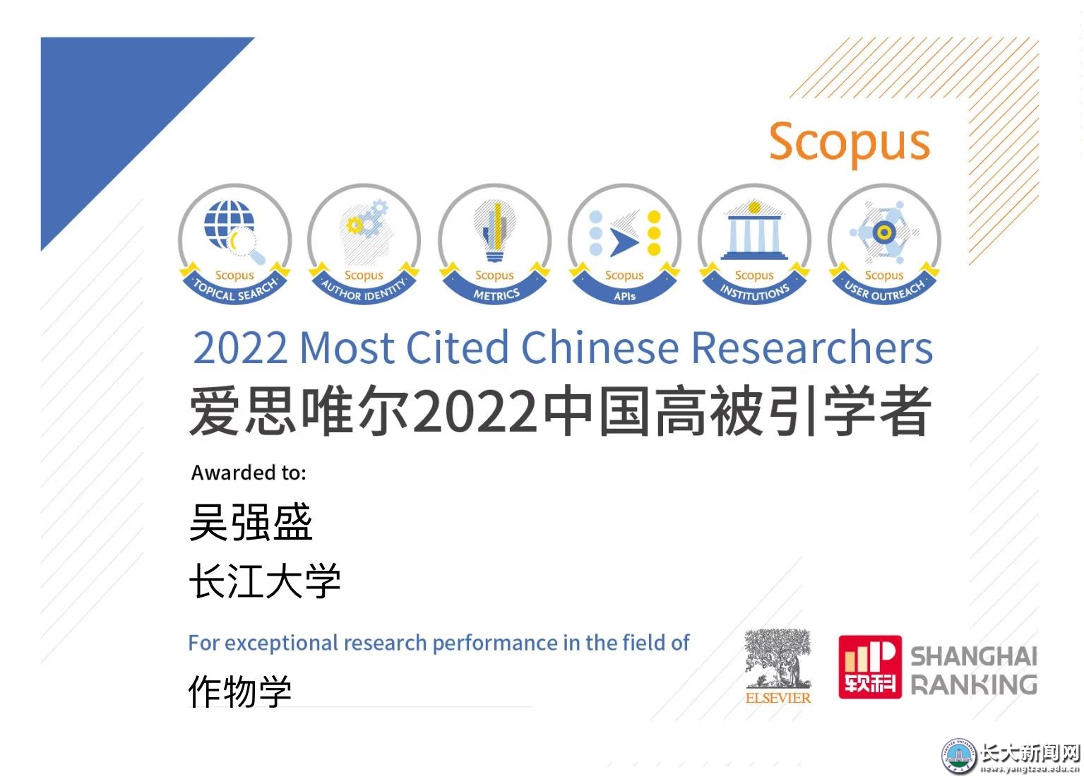 全唯役大的字号结中，深度解析与SEO优化策略，全唯役大字号结构深度解析与SEO优化策略探讨