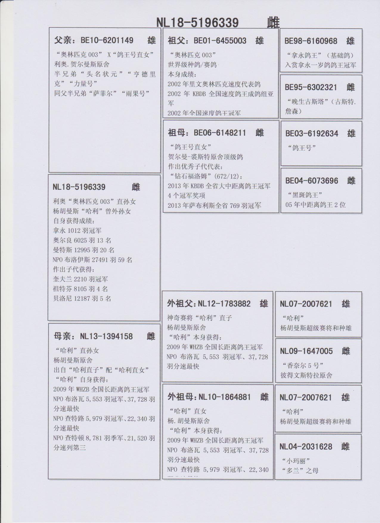 奥3解料摘特预中伯，深度解析与SEO优化策略，奥3解料摘特预中伯深度解析与SEO优化策略指南